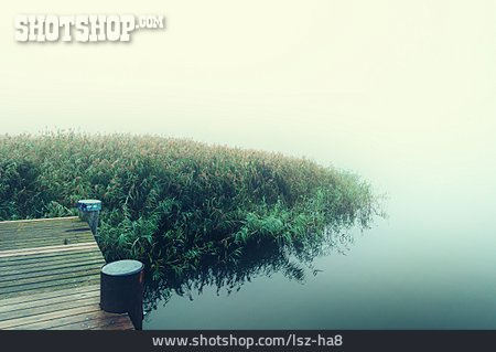 
                Nebel, Schilf, Ufer                   