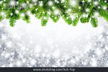 
                Copy Space, Backgrounds, Christmas, Fir Branch                   