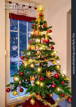 
                Weihnachten, Weihnachtsbaum                   