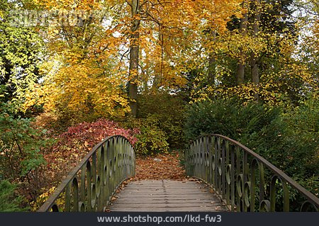 
                Herbstlich, Wörlitzer Park                   
