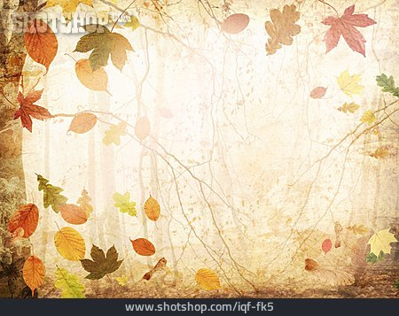 
                Herbstlaub, Illustration, Herbstwald, Herbstfärbung                   