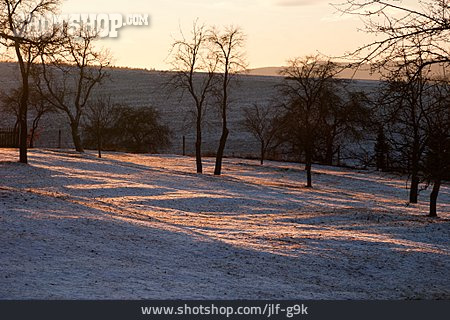
                Winter Landscape, Fruit Trees, Thuringia                   