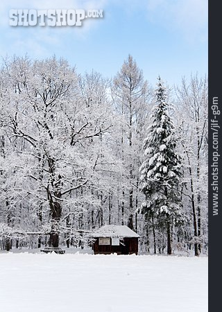 
                Winter, Holzhütte, Thüringen, Winterwald                   