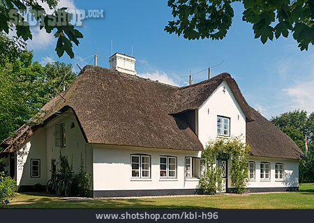
                Haus, Reetdach, Friesenhaus                   