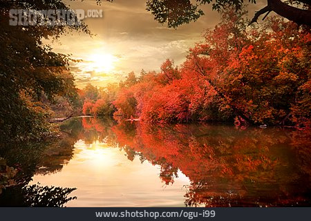 
                Natur, Herbst, Fluss                   