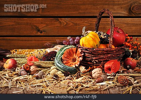 
                Erntedank, Erntezeit, Herbstgemüse                   