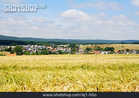 
                Dorf, Getreidefeld, Hunsrück, Seesbach                   