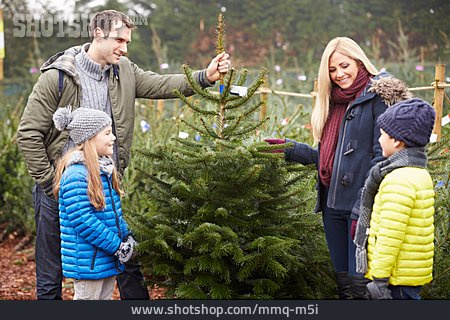 
                Familie, Weihnachtsbaum, Weihnachtsbaumverkauf                   