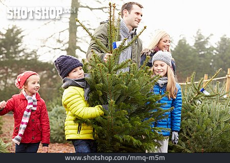 
                Christmas Tree, Christmas Shopping                   