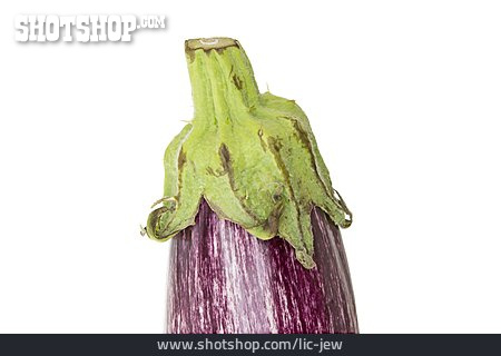 
                Aubergine                   