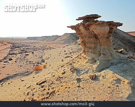 
                Wüste, Wadi, Arabische Wüste                   