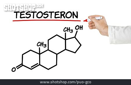 
                Testosteron                   
