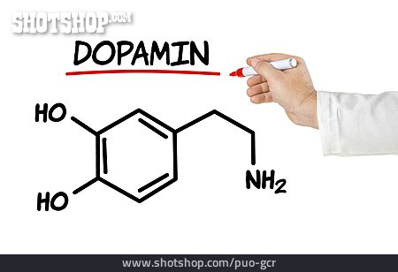 
                Dopamin, Glückshormon                   