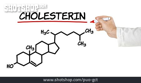 
                Cholesterin                   