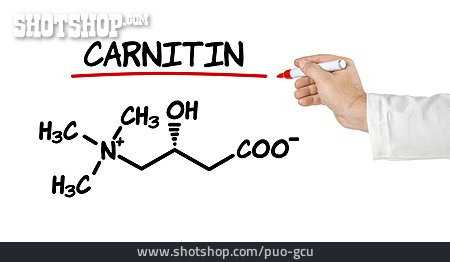 
                Carnitin                   