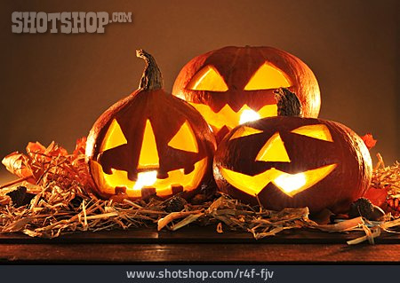 
                Squash, Halloween, Pumpkin Lantern                   