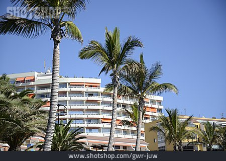 
                Hotel, Teneriffa, Playa De La Arena                   