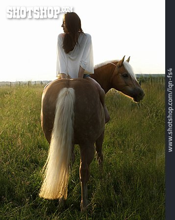 
                Junge Frau, Pferd, Romantisch, Reiten                   
