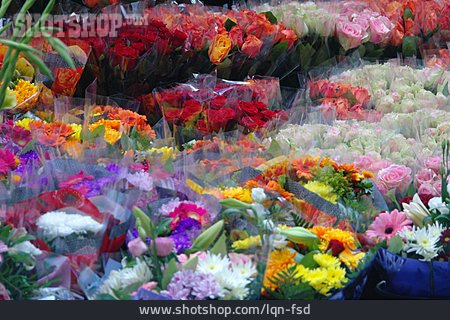 
                Flower, Cut Flowers, Flower Shop, Flower Market                   