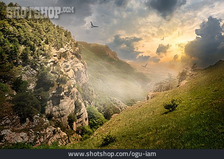 
                Wiese, Gebirge, Krim                   