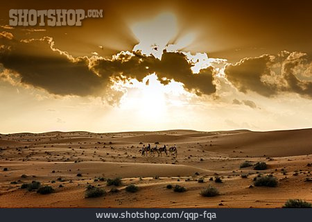
                Wüste, Abu Dhabi                   