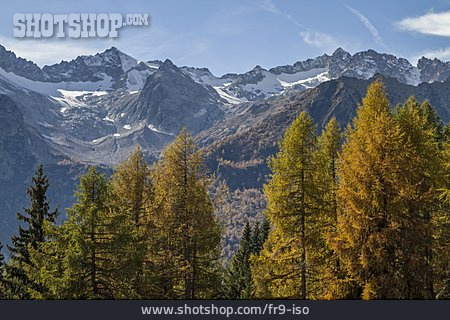 
                Gebirge, Alpen, Presanella                   