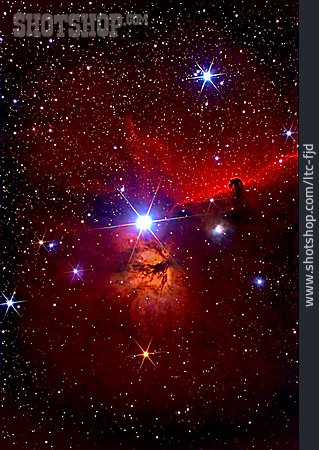 
                Himmel, Weltall, Astronomie, Orion                   