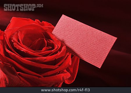 
                Valentinstag, Rosenblüte                   
