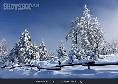 
                Winter, Winter Landscape, Black Forest High Road                   