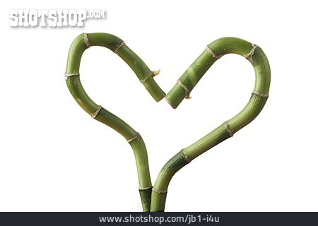
                Herz, Bambus                   