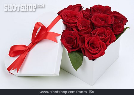 
                Herz, Geschenk, Rote Rosen                   