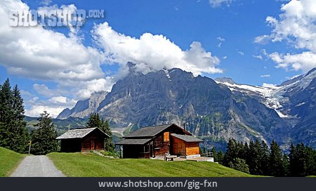
                Holzhütte, Berner Oberland                   