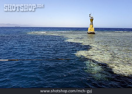 
                Korallenriff, Rotes Meer                   