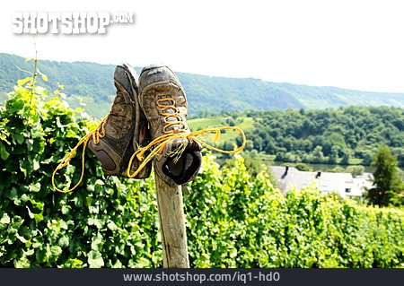 
                Schuhe, Weinbau, Weinberg, Arbeitsschuhe                   