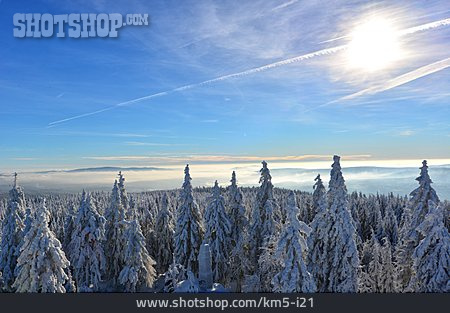 
                Schnee, Fichtelgebirge, Winterwald                   