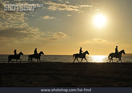 
                Horses, Sardinia, Riding Vacation                   