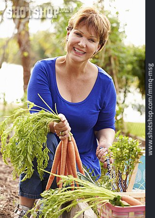 
                Frau, Gartenarbeit, Karottenernte                   