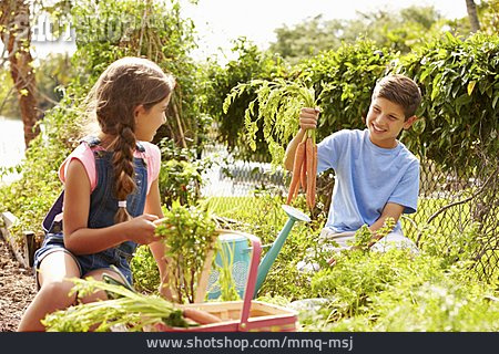 
                Gartenarbeit, Geschwister, Karottenernte                   