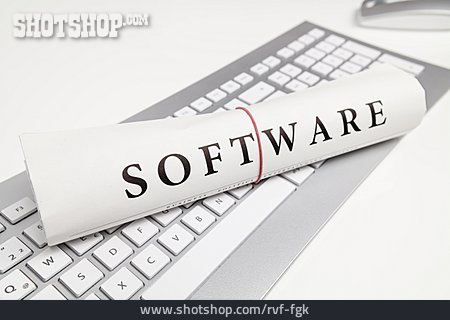 
                Software                   