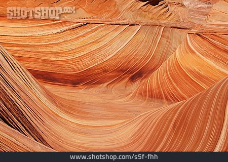 
                Sandstein, The Wave, Vermilion Cliffs                   