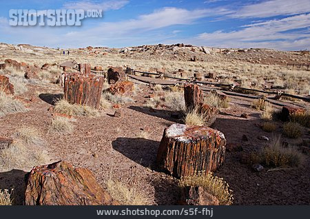 
                Felswüste, Colorado-plateau, Petrified-forest-nationalpark                   