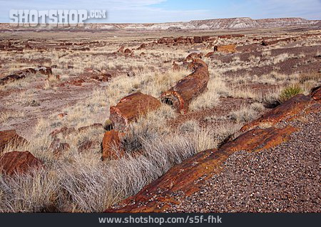 
                Prärie, Colorado-plateau, Petrified-forest-nationalpark                   