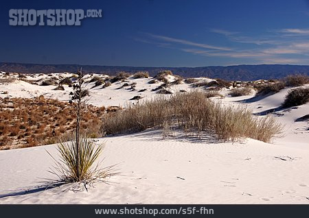 
                Chihuahua-wüste, White Sands National Monument, Gipsdüne                   
