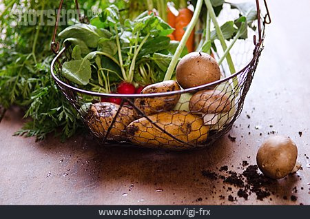 
                Ernte, Kartoffeln, Champignons, Gemüsekorb                   