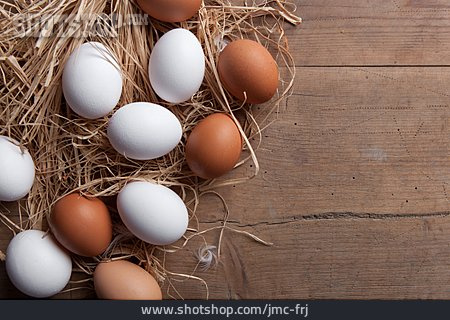 
                Hühnerei, Nest, Eier                   