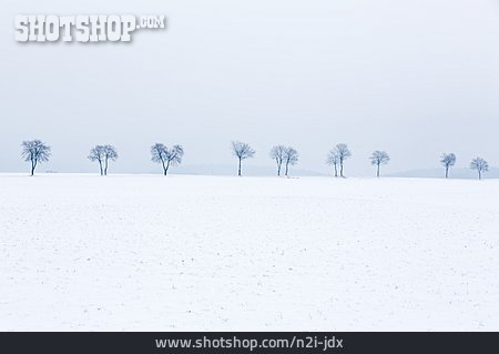
                Feld, Winterlandschaft, Schnee                   