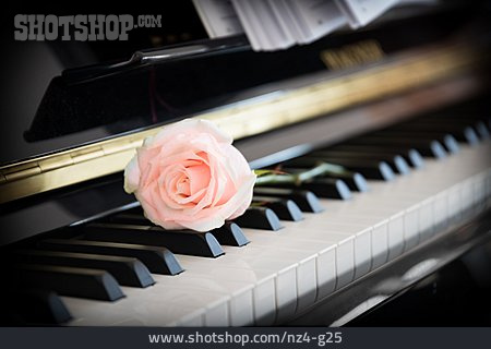 
                Liebe, Rose, Klavier                   
