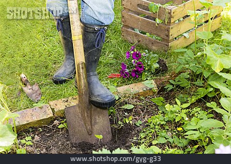 
                Garten, Gartenarbeit, Graben                   