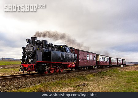 
                Historical Vehicle, Steam Locomotive, Molli                   