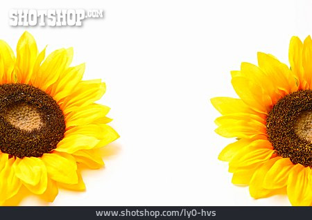 
                Sonnenblume, Stoffblume                   